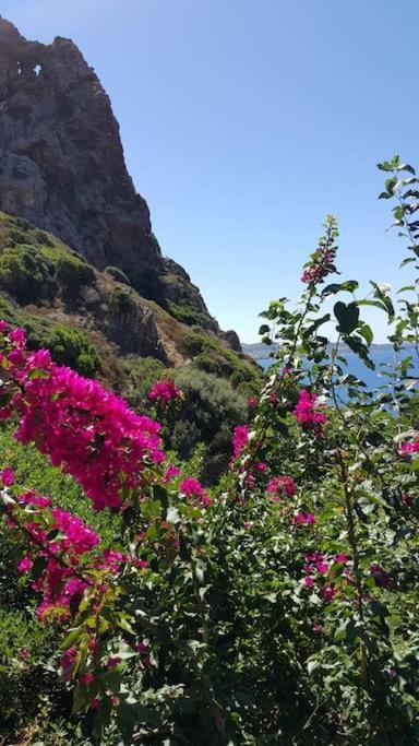 Tanca Piras - Emozioni A Strapiombo Sul Mare!!! Villa Nebida ภายนอก รูปภาพ
